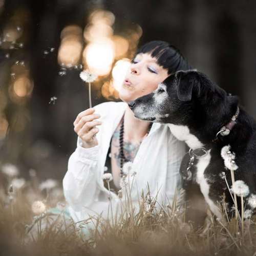 Hundeauslaufgebiet-Taika-Fotografie-Bild