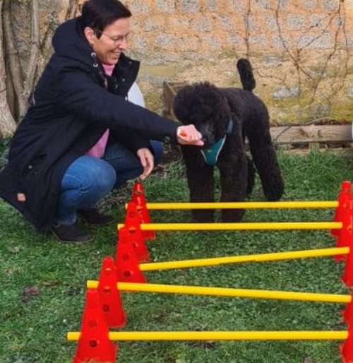 Hundeauslaufgebiet-Tierphysiotherapie Melanie Eigerdt für Hunde, Katze, Pferd und Maus-Bild