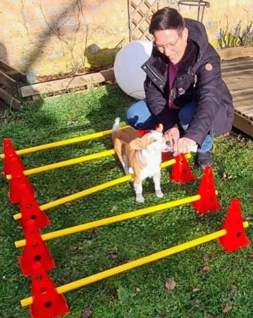 Hundeauslaufgebiet-Tierphysiotherapie Melanie Eigerdt für Hunde, Katze, Pferd und Maus-Bild