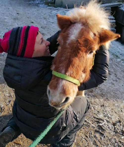 Hundeauslaufgebiet-Tierphysiotherapie Melanie Eigerdt für Hunde, Katze, Pferd und Maus-Bild