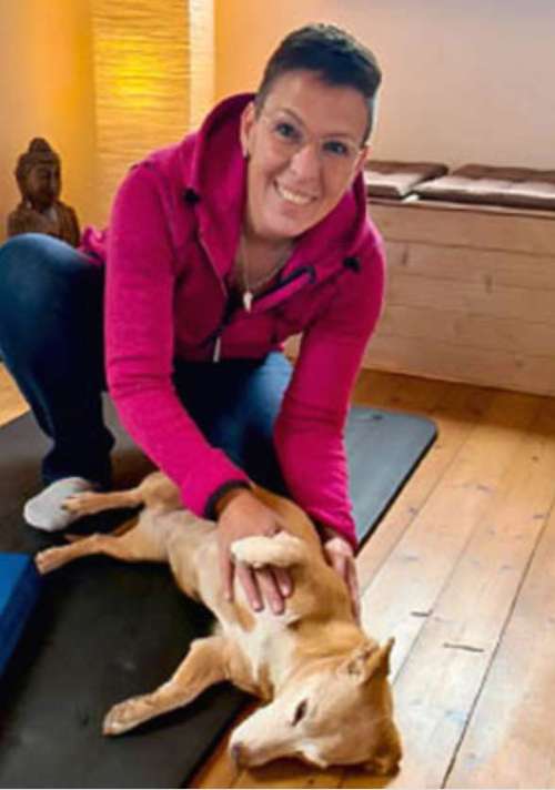 Hundeauslaufgebiet-Tierphysiotherapie Melanie Eigerdt für Hunde, Katze, Pferd und Maus-Bild