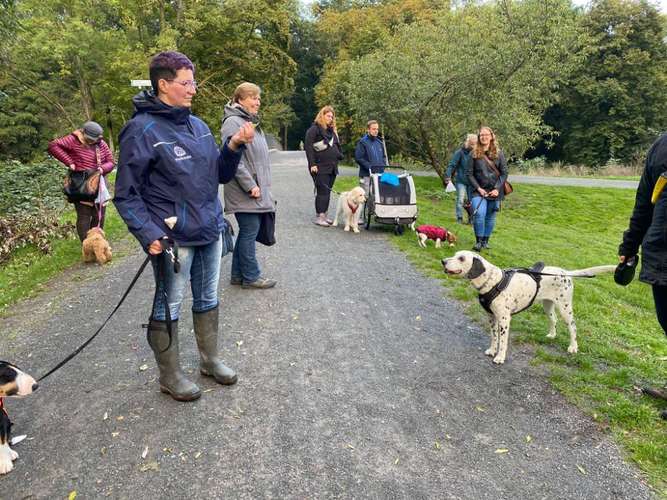 Hundeauslaufgebiet-Hundeschule Wauzelnasen-Bild