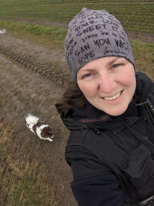 Hundeauslaufgebiet-Hundeschule Hundehof Meiko-Bild