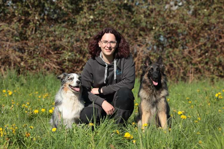 Hundeauslaufgebiet-Hundephysiotherapie - Sina Grindemann-Bild