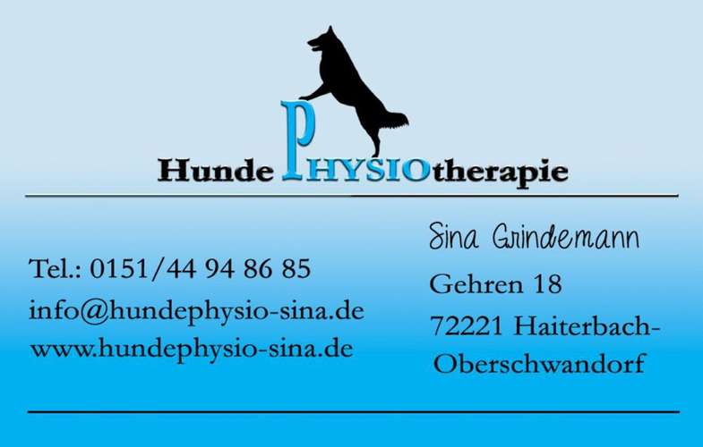 Hundeauslaufgebiet-Hundephysiotherapie - Sina Grindemann-Bild