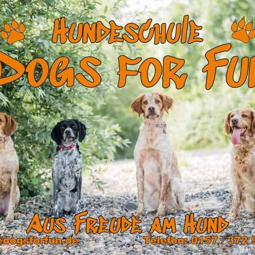 Hundeauslaufgebiet-Dogs for Fun-Bild