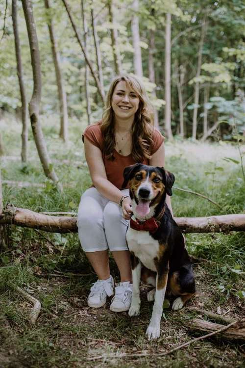 Hundeauslaufgebiet-Streberschnauzen-Bild