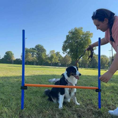 Hundeauslaufgebiet-Fellnasencoach Hundeschule&Gassiservice-Bild