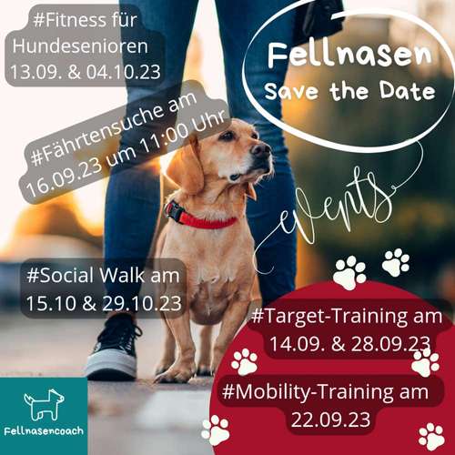 Hundeauslaufgebiet-Fellnasencoach Hundeschule&Gassiservice-Bild