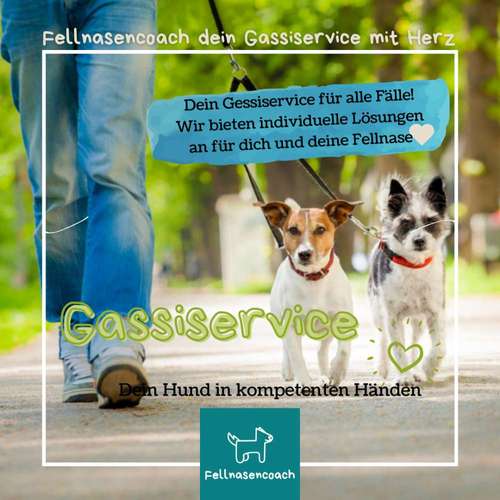 Hundeauslaufgebiet-Fellnasencoach Hundeschule&Gassiservice-Bild