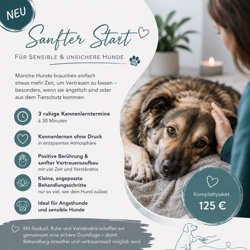 Hundeauslaufgebiet-Hundephysiotherapie Kerstin Seitz-Bild
