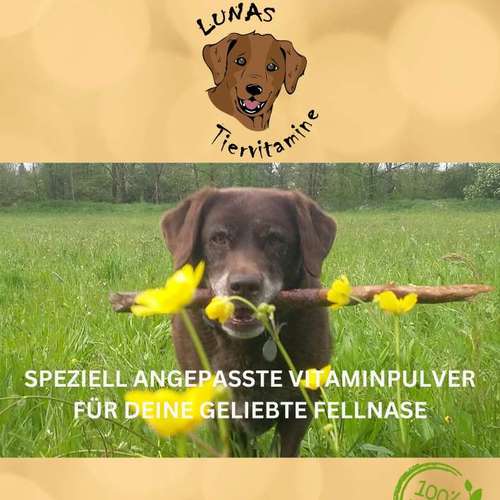 Hundeauslaufgebiet-LUNAS TIERVITAMINE-Bild