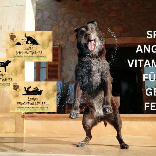 Hundeauslaufgebiet-LUNAS TIERVITAMINE-Bild