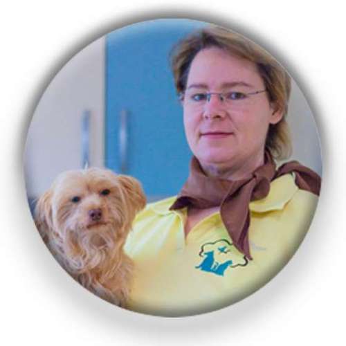 Hundeauslaufgebiet-Tierarzt am Volkspark-Bild