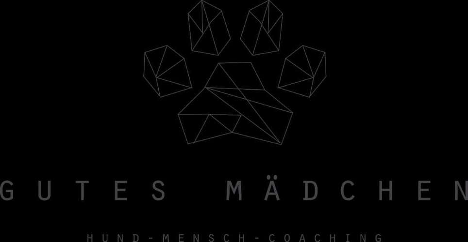 Hundeauslaufgebiet-Gutes Mädchen-Bild