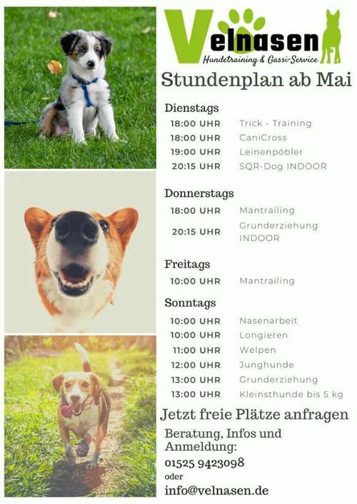 Hundeauslaufgebiet-Velnasen Hundetraining-Bild