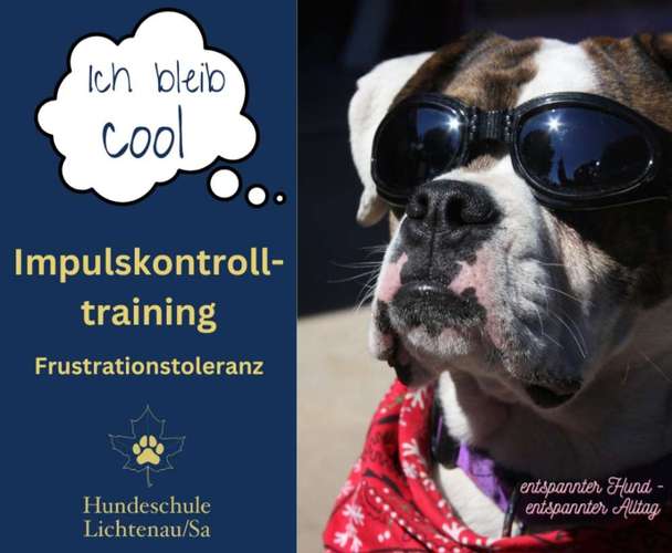 Hundeauslaufgebiet-Hundeschule Lichtenau/Sa-Bild