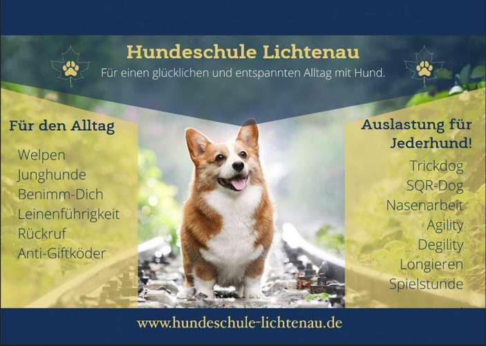 Hundeauslaufgebiet-Hundeschule Lichtenau/Sa-Bild