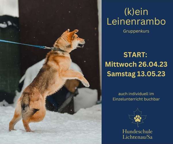 Hundeauslaufgebiet-Hundeschule Lichtenau/Sa-Bild