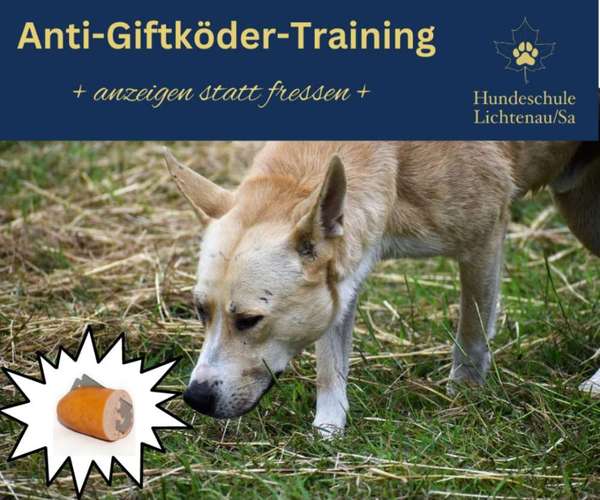 Hundeauslaufgebiet-Hundeschule Lichtenau/Sa-Bild