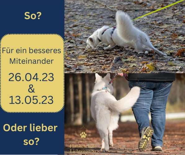 Hundeauslaufgebiet-Hundeschule Lichtenau/Sa-Bild