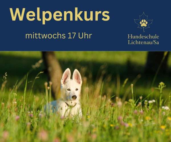 Hundeauslaufgebiet-Hundeschule Lichtenau/Sa-Bild