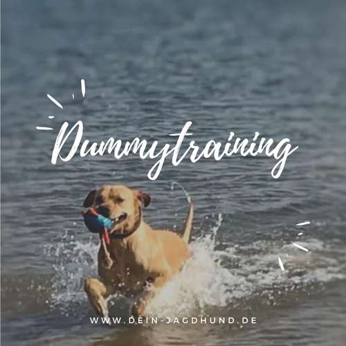 Hundeauslaufgebiet-Dein Jagdhund - Hundehaltercoaching-Bild