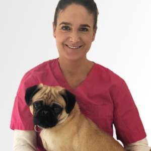 Hundeauslaufgebiet-Tierarztpraxis ElbVet - T. Tödt-Bild