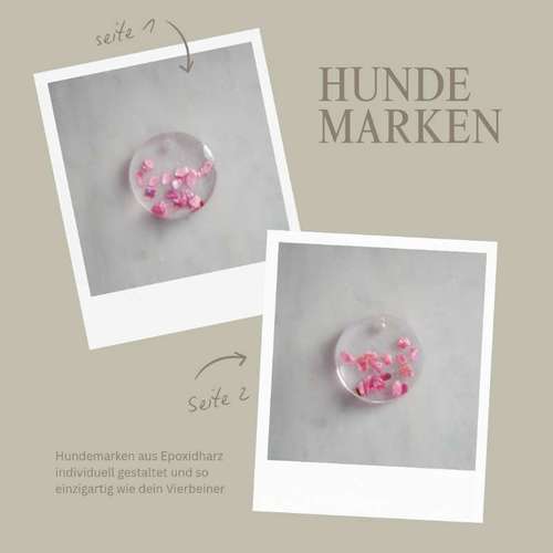 Hundeauslaufgebiet-The Malero-Bild