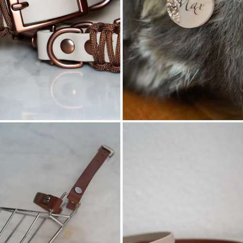 Hundeauslaufgebiet-The Malero-Bild