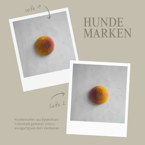 Hundeauslaufgebiet-The Malero-Bild