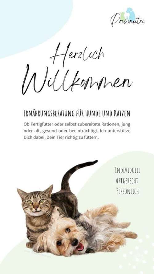 Hundeauslaufgebiet-Pawnutri Tierernährungsberatung-Bild