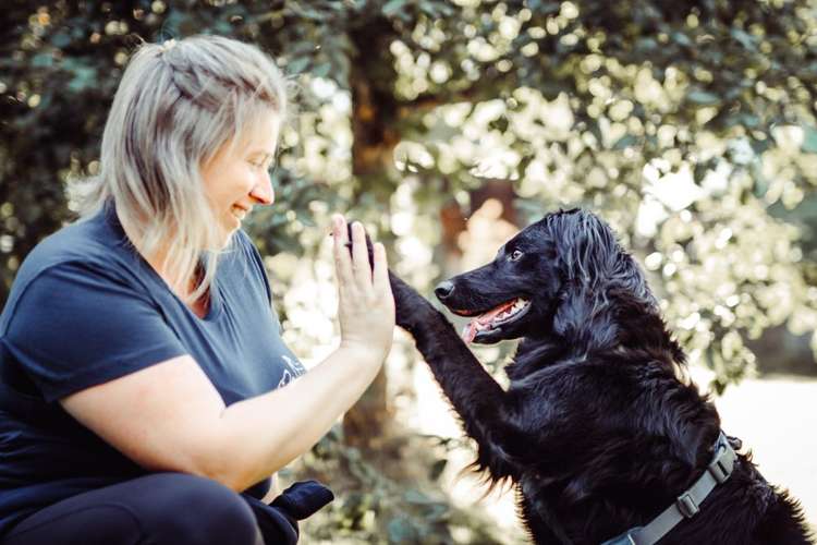 Hundeauslaufgebiet-Lilis Hundetraining-Bild