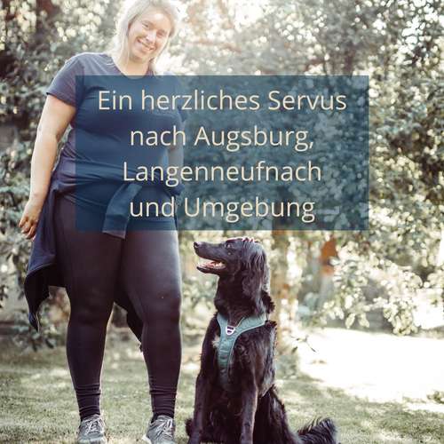 Hundeauslaufgebiet-Lilis Hundetraining-Bild