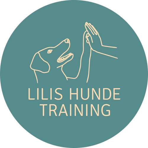 Hundeauslaufgebiet-Lilis Hundetraining-Bild