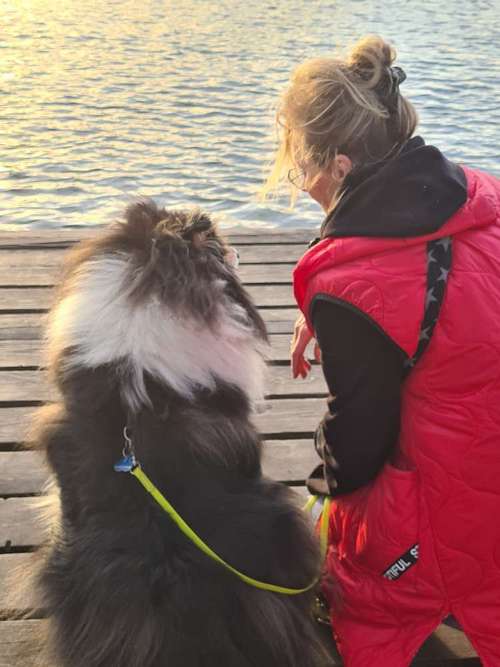 Hundeauslaufgebiet-Blickwechsel - Carmen Niedziella -Bild