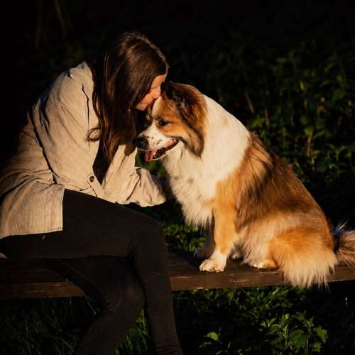 Hundeauslaufgebiet-Klabacher.Studio-Bild