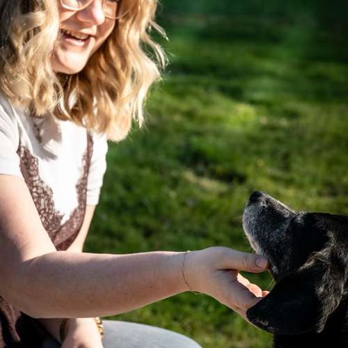 Hundeauslaufgebiet-Klabacher.Studio-Bild