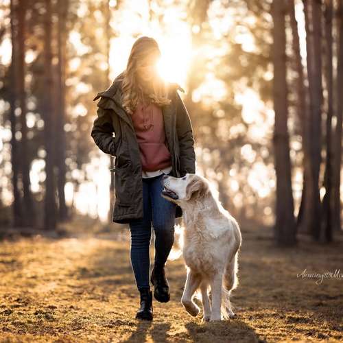 Hundeauslaufgebiet-Hundeschule Pfalzfelle-Bild