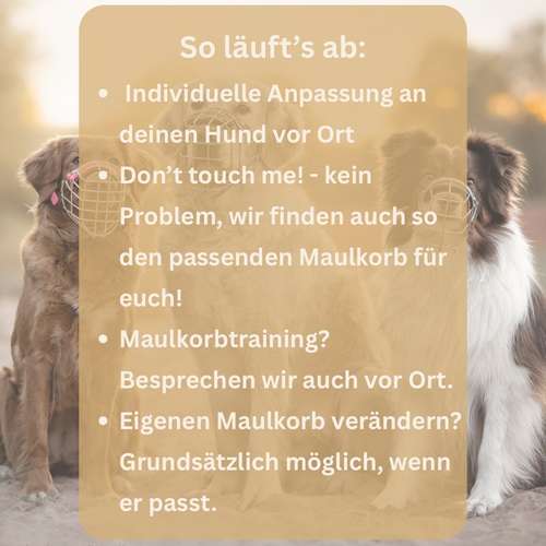 Hundeauslaufgebiet-Hundeschule Pfalzfelle-Bild