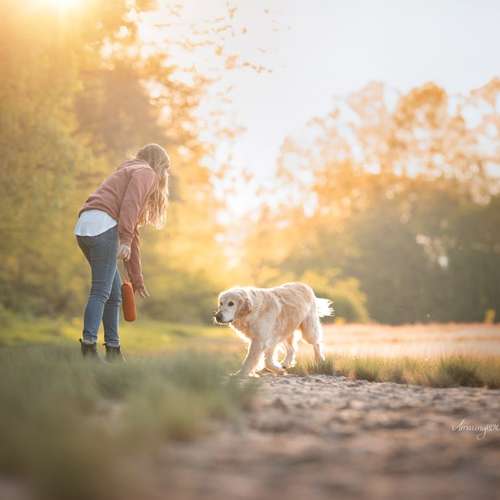 Hundeauslaufgebiet-Hundeschule Pfalzfelle-Bild