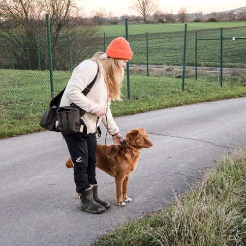 Hundeauslaufgebiet-Hundeschule Pfalzfelle-Bild