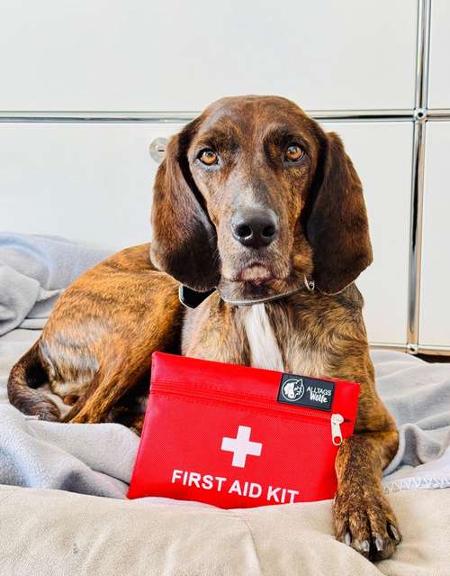 Hundeauslaufgebiet-Alltagswölfe GbR-Bild