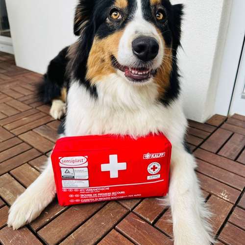 Hundeauslaufgebiet-Alltagswölfe GbR-Bild