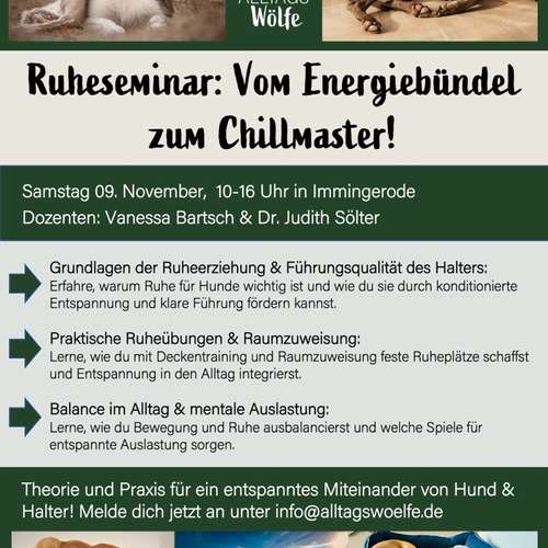 Hundeauslaufgebiet-Alltagswölfe GbR-Bild