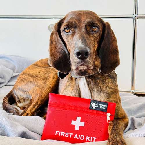 Hundeauslaufgebiet-Alltagswölfe GbR-Bild