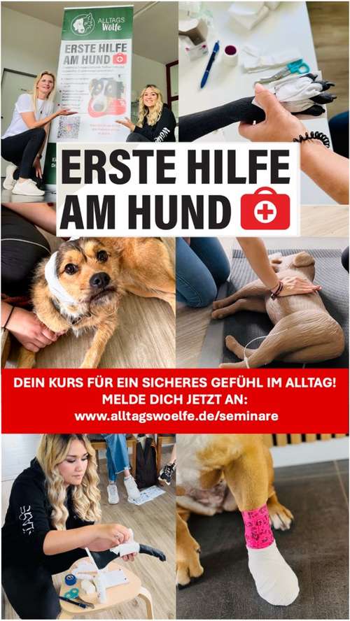 Hundeauslaufgebiet-Alltagswölfe GbR-Bild