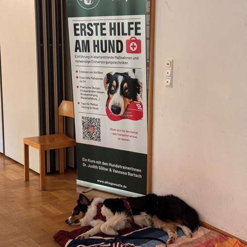 Hundeauslaufgebiet-Alltagswölfe GbR-Bild