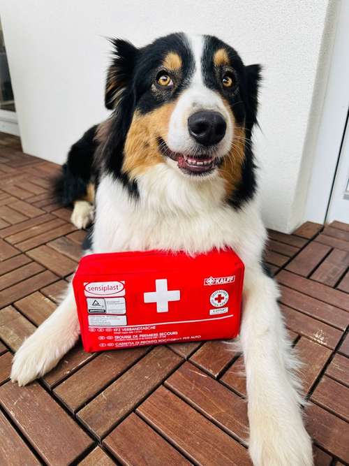 Hundeauslaufgebiet-Alltagswölfe GbR-Bild