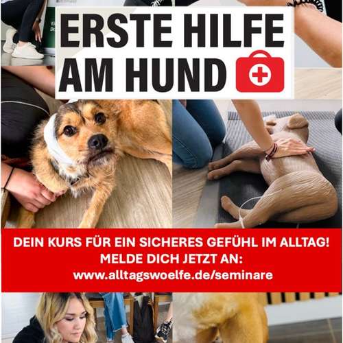 Hundeauslaufgebiet-Alltagswölfe GbR-Bild